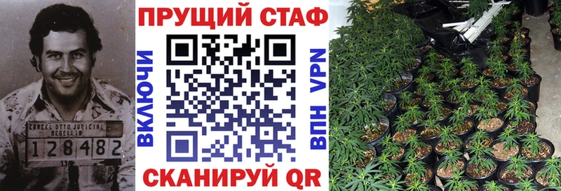 Магазины продажи наркотиков Гудермес АМФЕТАМИН Меф COCAIN Гашиш Конопля