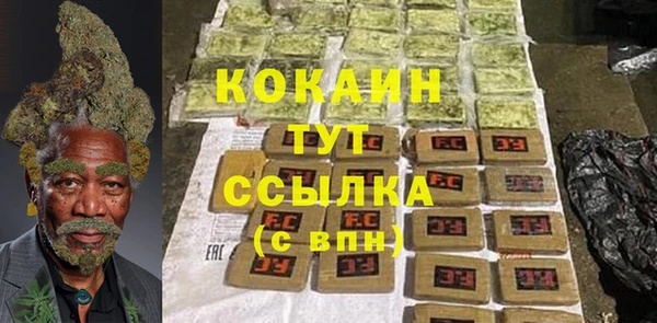 молекула духа Бронницы