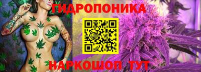 молекула духа Апшеронск