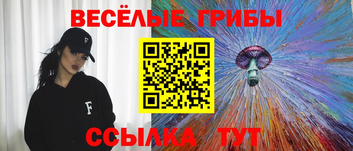 Галлюциногенные грибы Psilocybine cubensis Гудермес