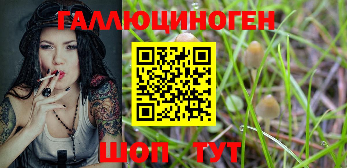 Гудермес  Галлюциногенные грибы мухоморы  даркнет сайт  Вход с VPN  Галлюциногенные грибы MAGIC MUSHROOMS 