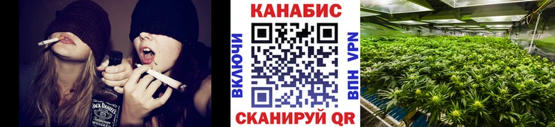 Канабис конопля  купить наркотик  Гудермес 