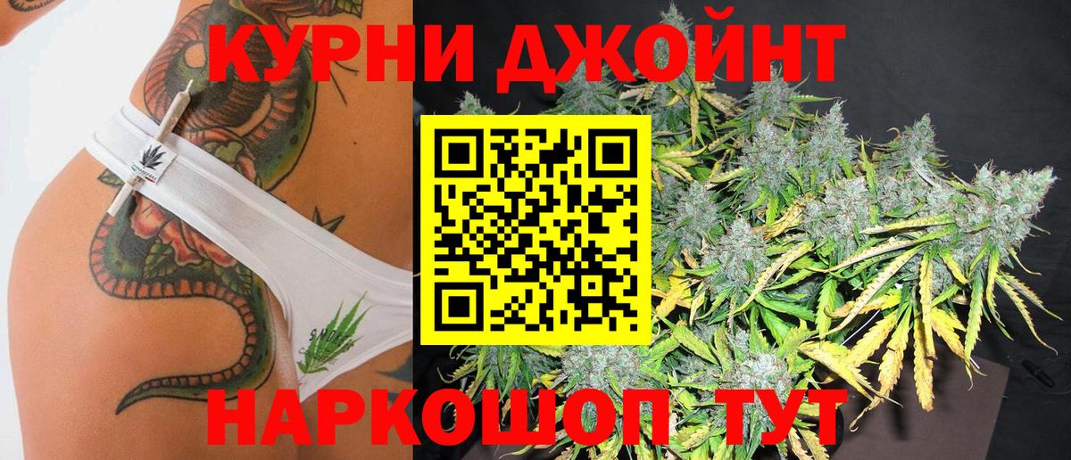 Шишки марихуана сатива Гудермес